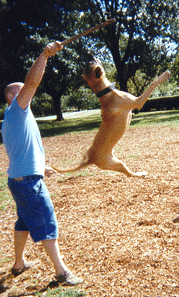 petey, scott
