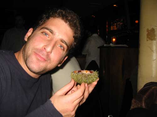 shane