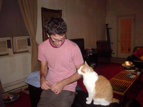 herman the cat, jake b