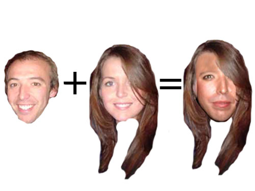 gemma, grant