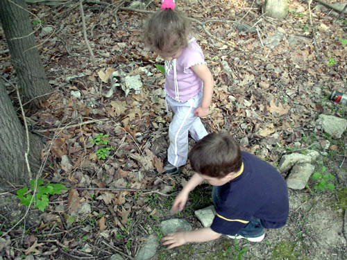 abbey, liam
