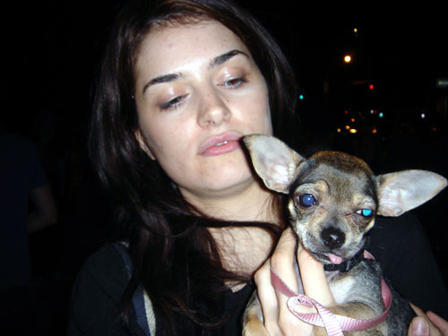 ellen, piper