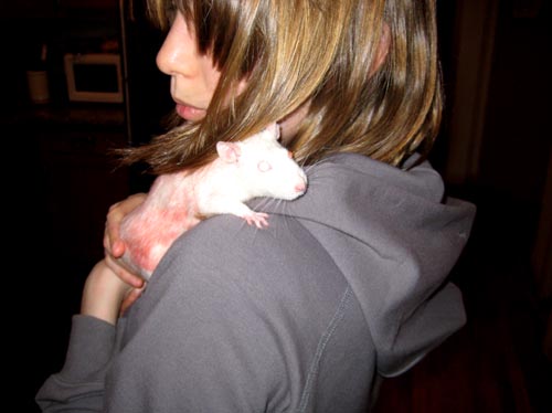 meredith, ratso