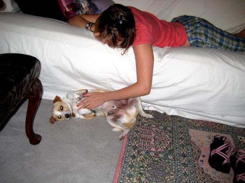meredith, rocco