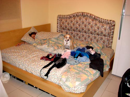 meredith, rocco