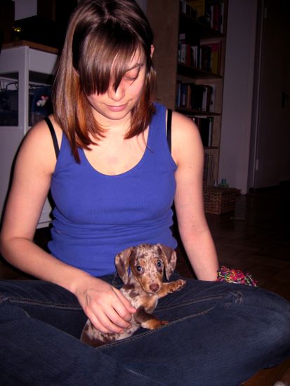 maddy, meredith
