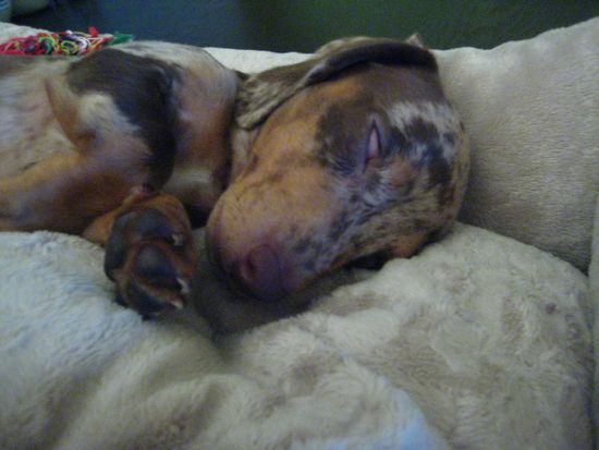 maddy