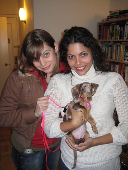 maddy, meredith, simone