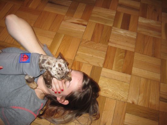 maddy, meredith