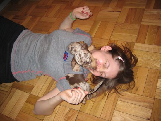 maddy, meredith