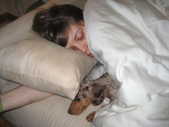 maddy, meredith