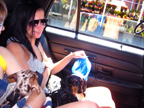 leigh, maddy, meredith