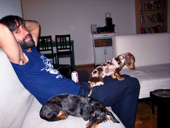 maddy, pauly