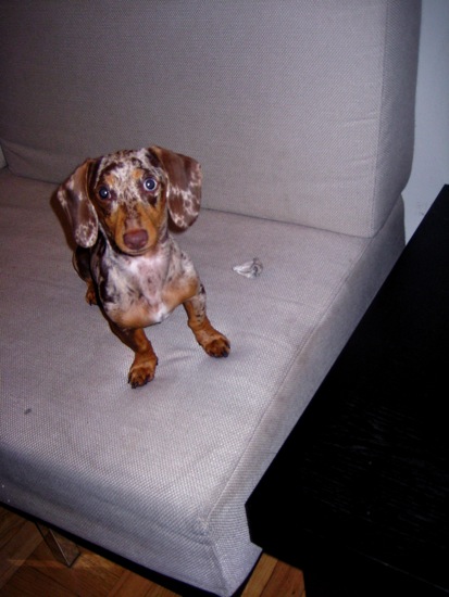 maddy