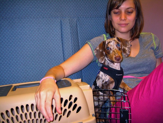 maddy, meredith