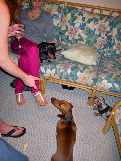 maddy, meredith, teddy