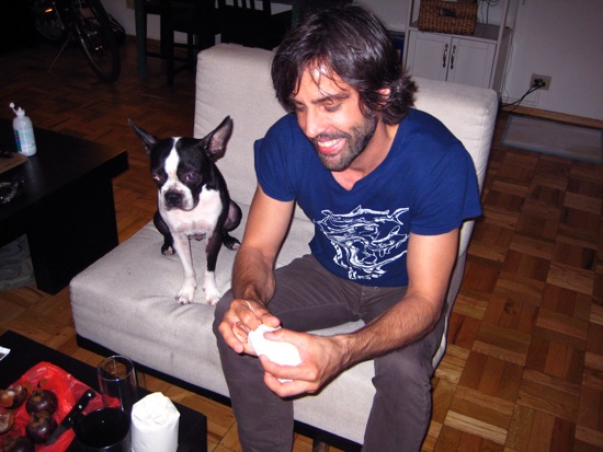 pauly, pizza the dog