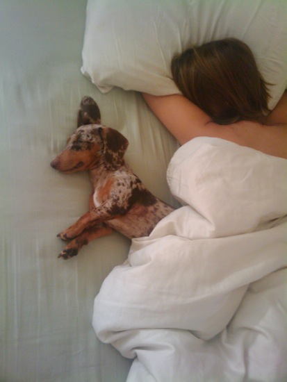 maddy, meredith