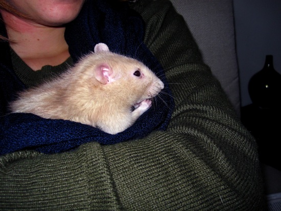 mitzi