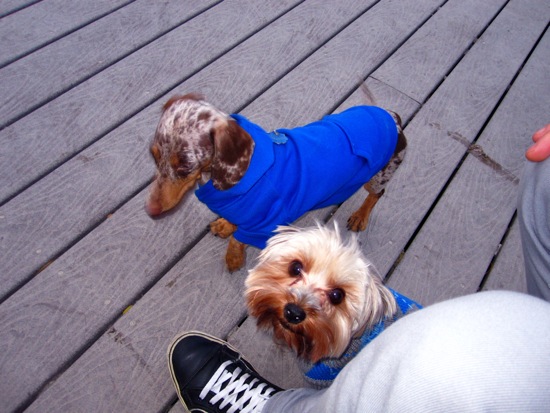 biggy, maddy