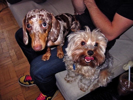 biggy, maddy