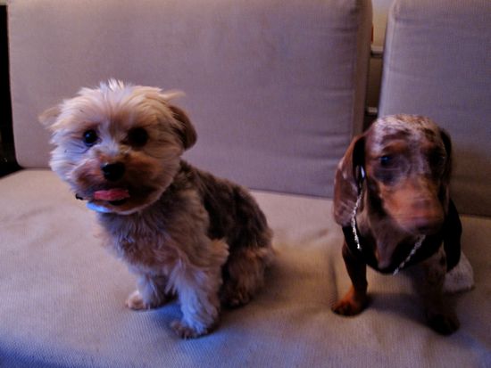 biggy, maddy