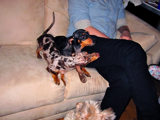eddie, maddy