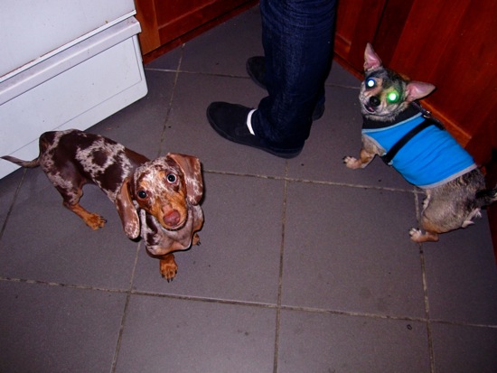 maddy, piper
