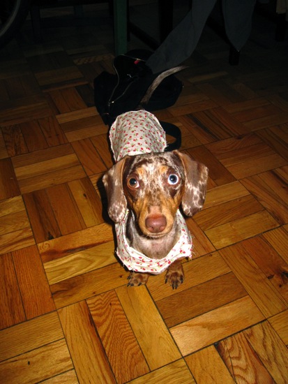 maddy