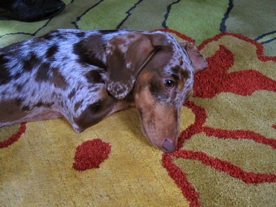 maddy