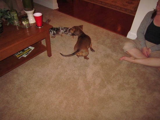 maddy, teddy