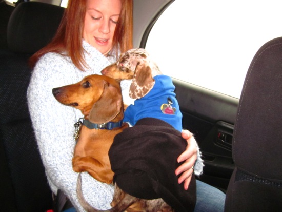 amy b, maddy, teddy