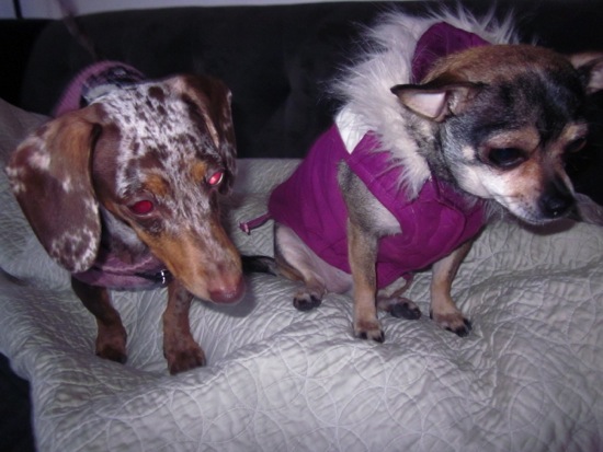 maddy, piper