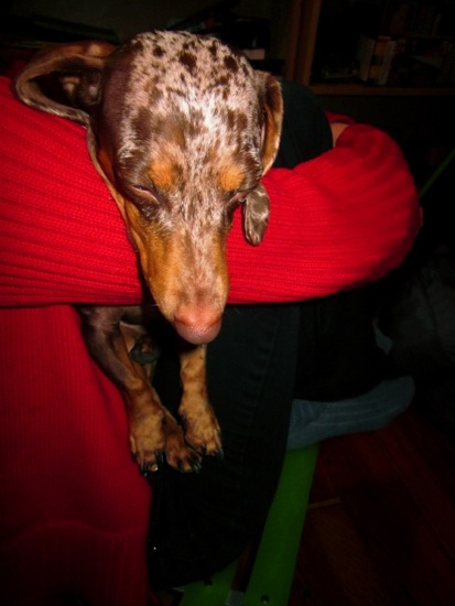 maddy