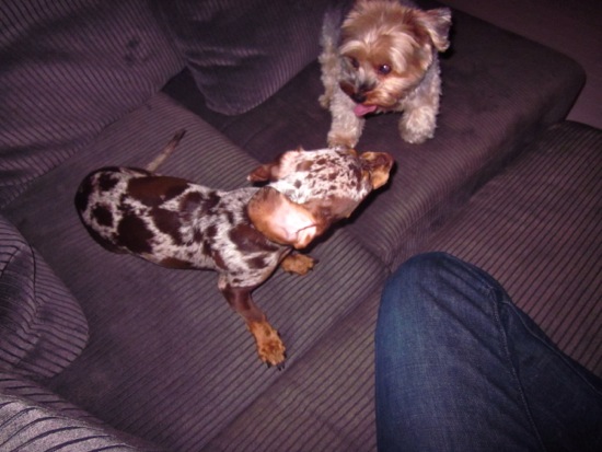 biggy, maddy
