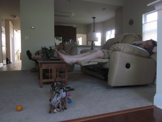 brett, maddy