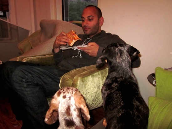 maddy, vin