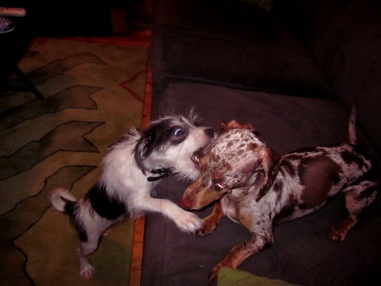 jagger, maddy