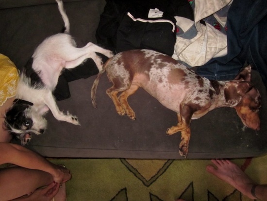 jagger, maddy