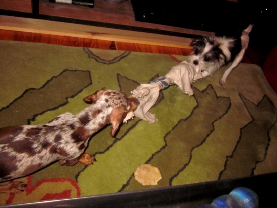 jagger, maddy