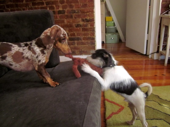 jagger, maddy