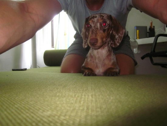 maddy