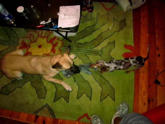 drese, maddy