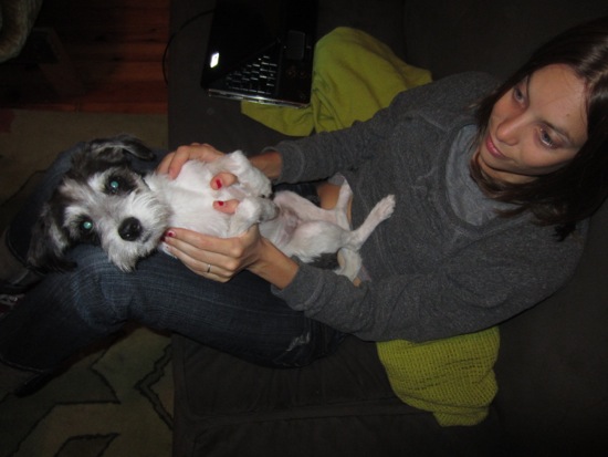 jagger, meredith
