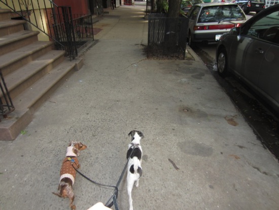 jagger, maddy