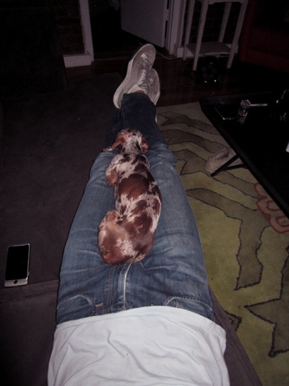 maddy