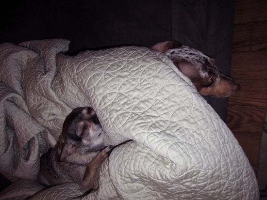 maddy, piper