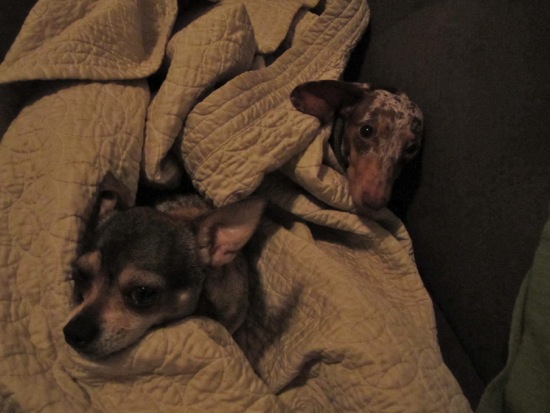 maddy, piper