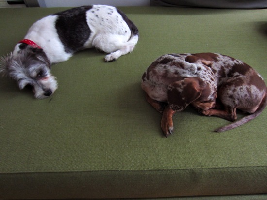jagger, maddy