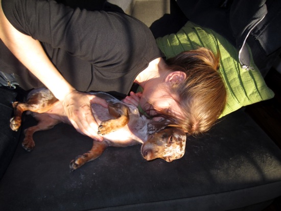 maddy, meredith